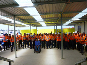 Walk a day with Hawk